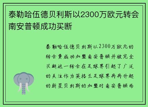 泰勒哈伍德贝利斯以2300万欧元转会南安普顿成功买断